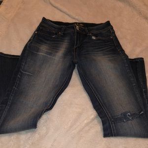 Indigo Rein , Dark blue wash ,